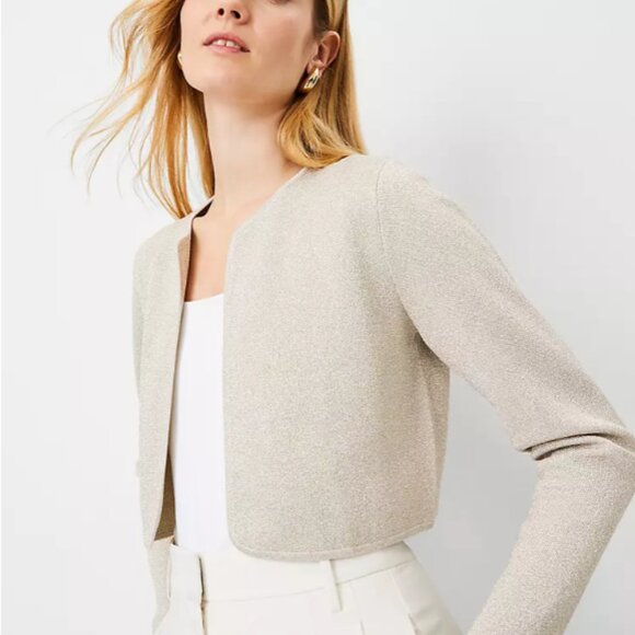 Ann Taylor Shimmer Shrug Dress Cardigan XL NWT - Picture 1 of 6